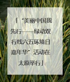 “美丽中国我先行——绿动双行线六五环境日嘉年华”活动在太原举行